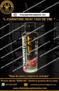 L-CARNITINE 1500 HEAT VMI CHERRY LIME
